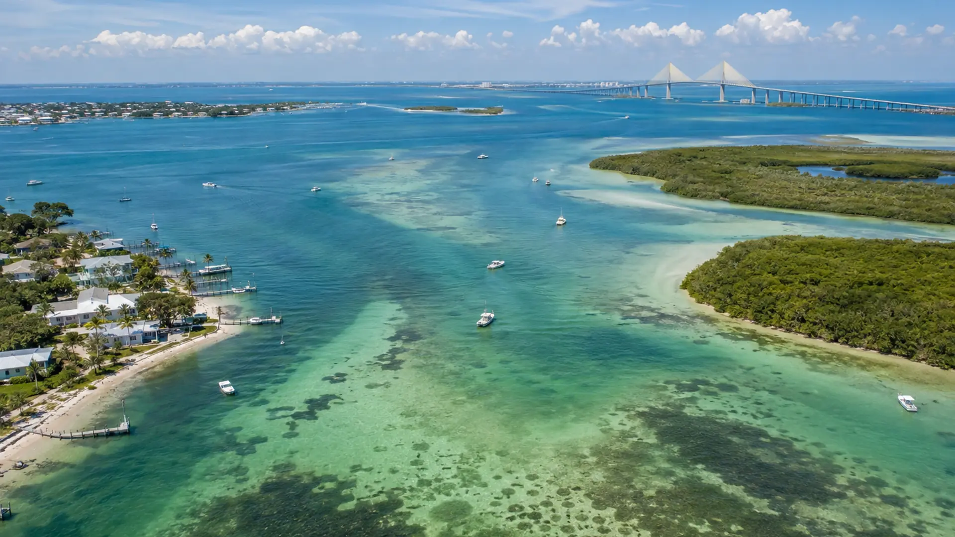 Tampa Bay