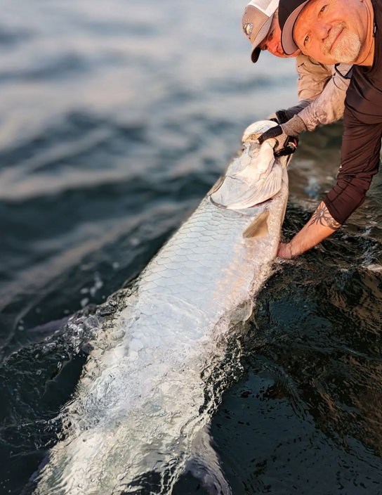 Florida Inshore Xtream tarpon alongside the boat at the surface
