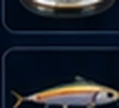 Top 5 Lures for Mahi This Season