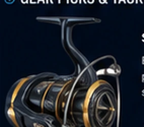 Shimano Stella SW 6000XG