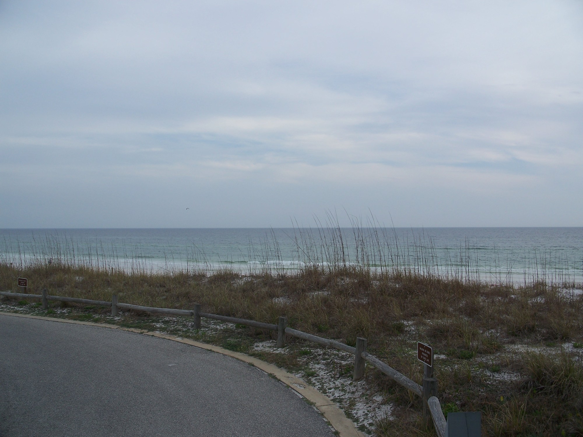 Dune grass and a paved walkway beside the Gulf at Henderson Beach State Park