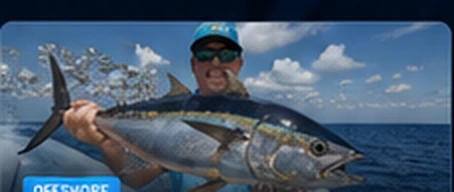 Blackfin Bite Heats Up