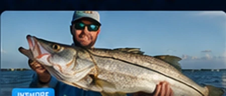 Snook Stacked in the Pass