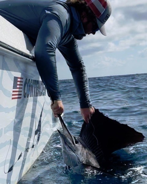 Sailfish alongside the boat during an Off the Chain fishing trip