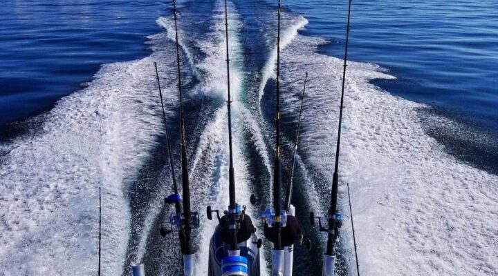 Fishing rods above the boat's wake