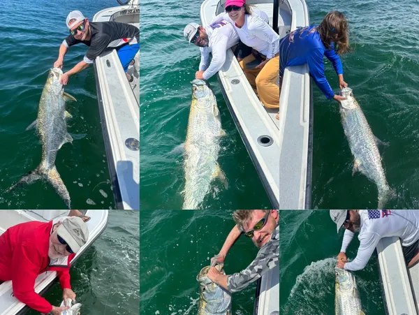 All World Fishing Charters collage of anglers releasing tarpon beside a boat