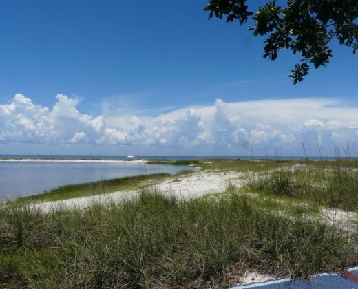 Alligator Point Fishing Guide: Spots, Fish & Bait