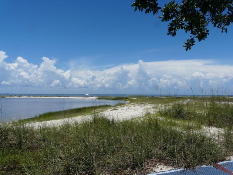 Lagoon and Apalachee Bay viewed from a trail at Bald Point State Park in 2021