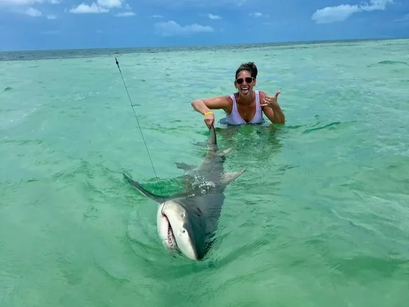 Angler beside a shark in shallow water with Key West Fishing Connection