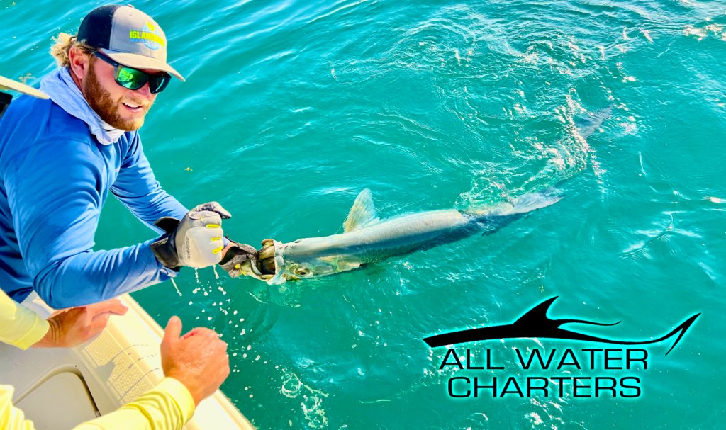 Angler handling a shark beside an All Water Charters boat