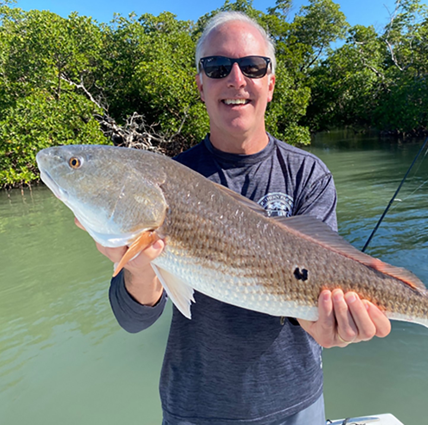 Angler holding a redfish beside mangroves with Florida Boy Charters