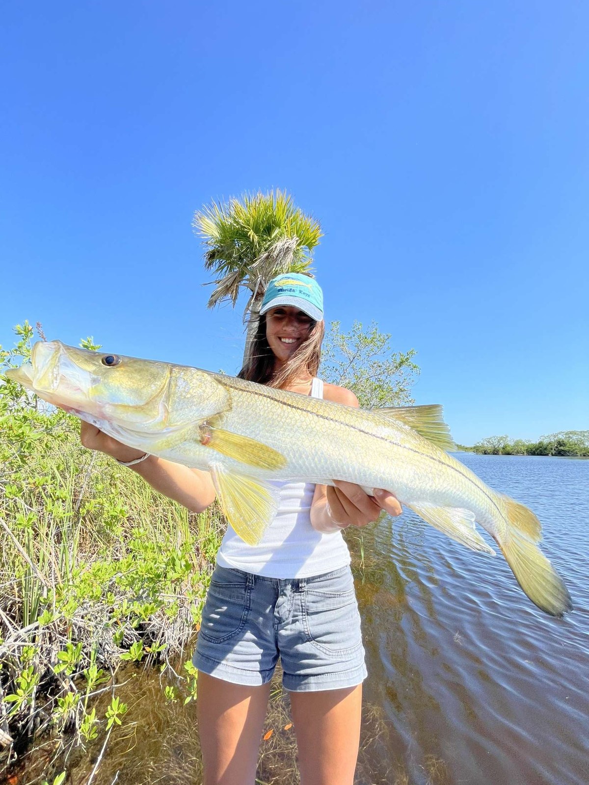 Angler holding a snook beside mangroves with Everglades Fishing Charters