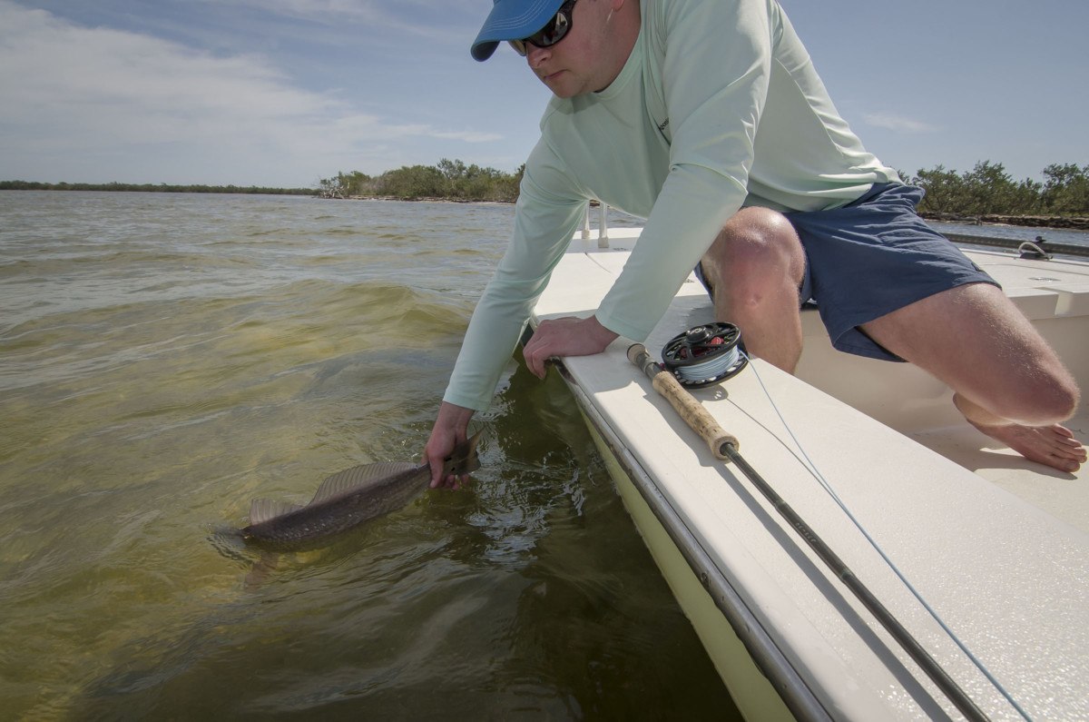 Angler releasing a fish beside a skiff with Right In Sight Charters