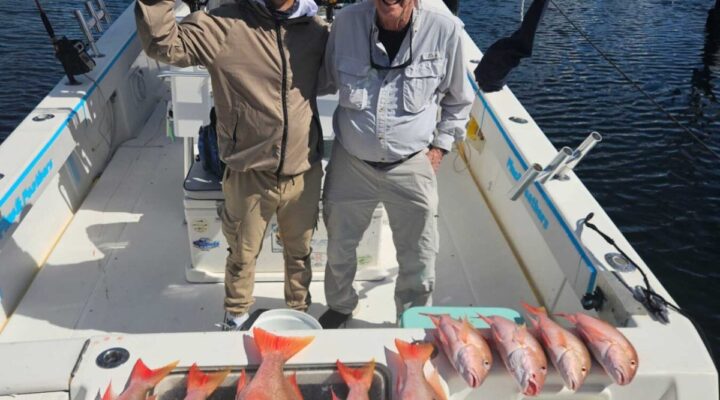 Anglers and snapper catch at the stern with Fins and Feathers Charters