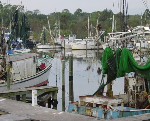 Apalachicola Fishing Guide