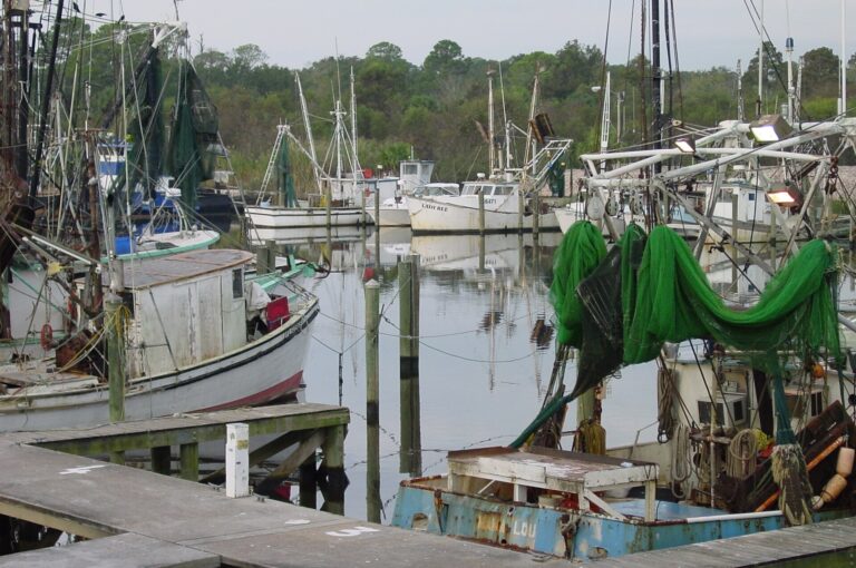Fishing boats and nets at the working docks in Apalachicola in 2002