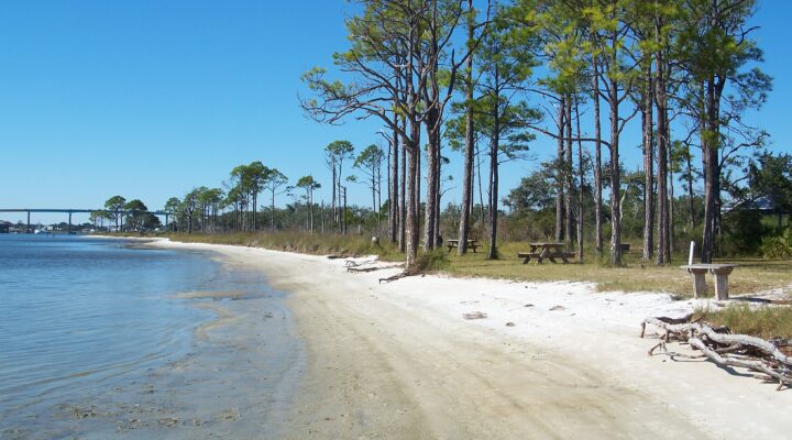 Big Lagoon State Park Fishing Near Pensacola: Redfish and Trout