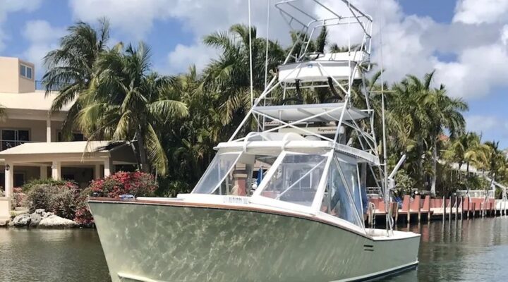Blue Water Adventures sportfishing boat at a palm lined marina