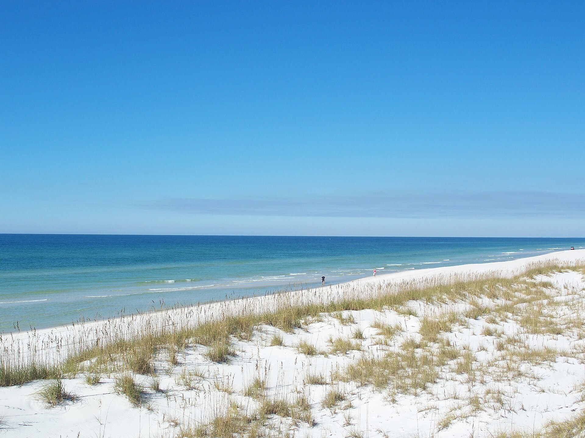 Gulf beach and dunes looking north in St. Joseph Peninsula State Park in 2010