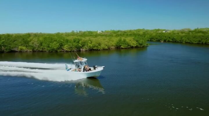 Captain Cody fishing boat cruising past mangrove shoreline