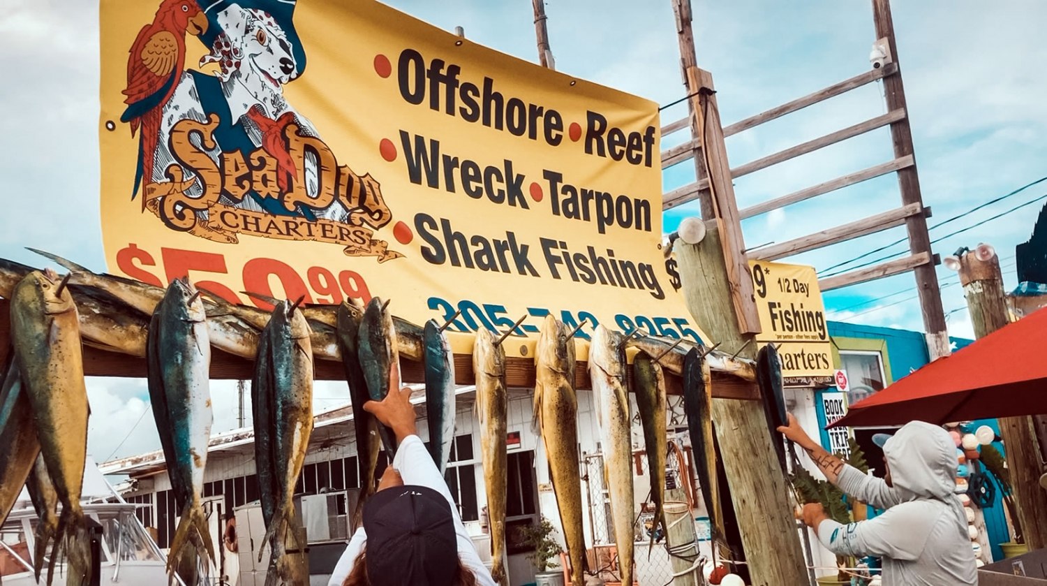 Catch displayed beneath the Sea Dog Charters sign at the dock