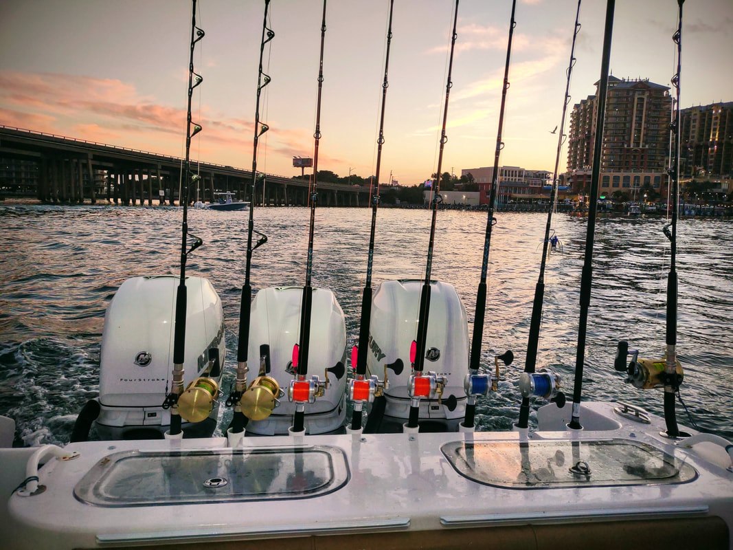 Fishing rods at the stern