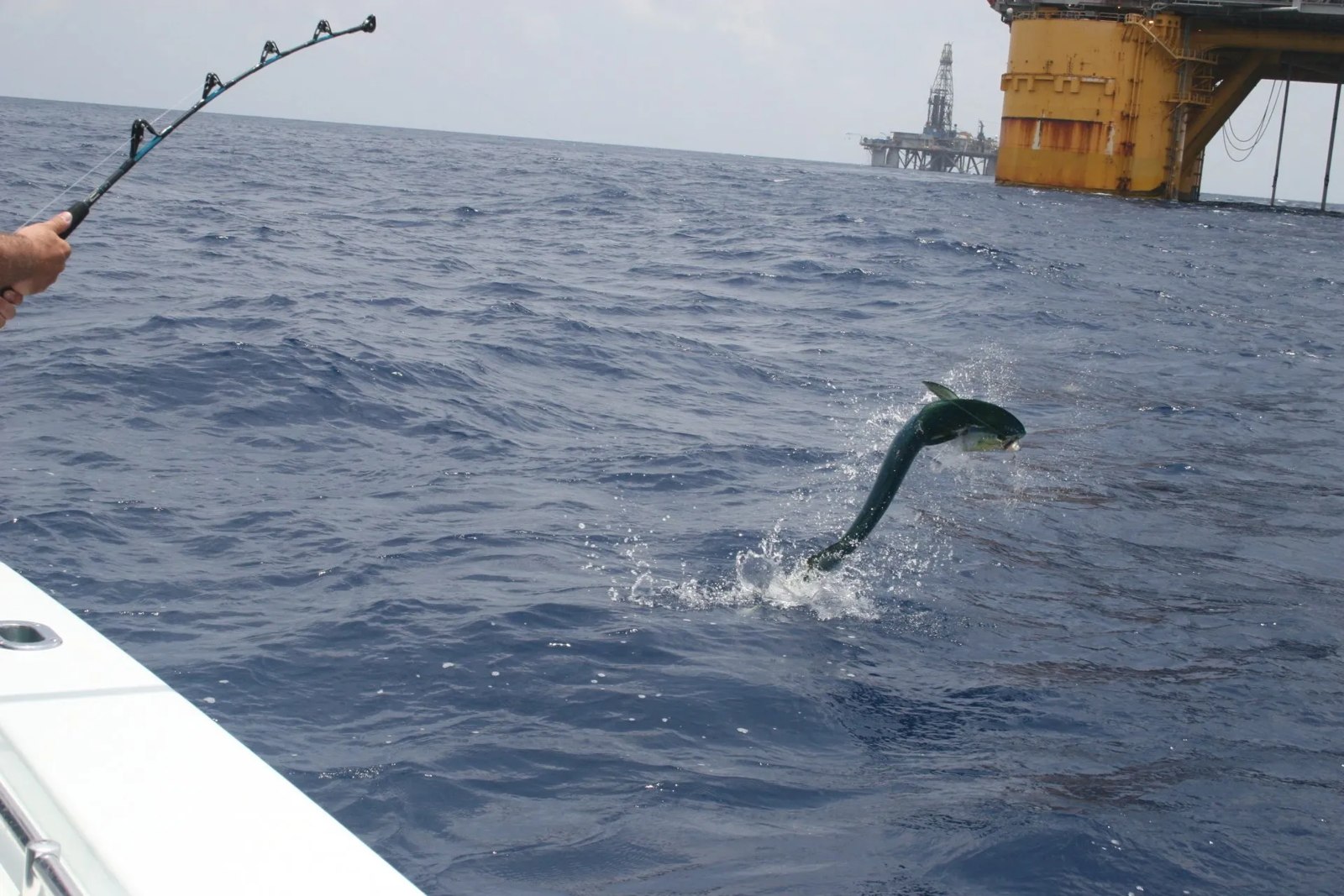Trolling equipment aboard the boat