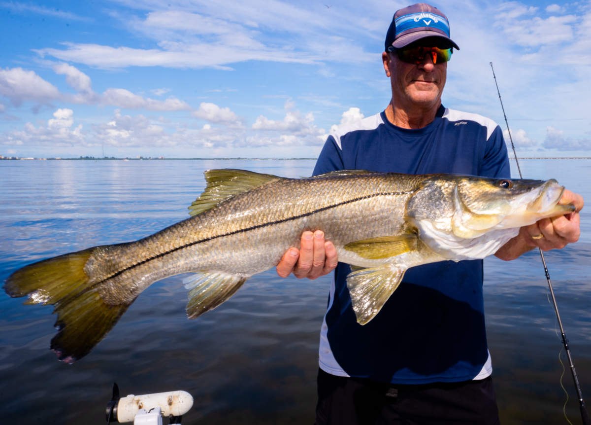 FishNFL angler holding a snook beside the water