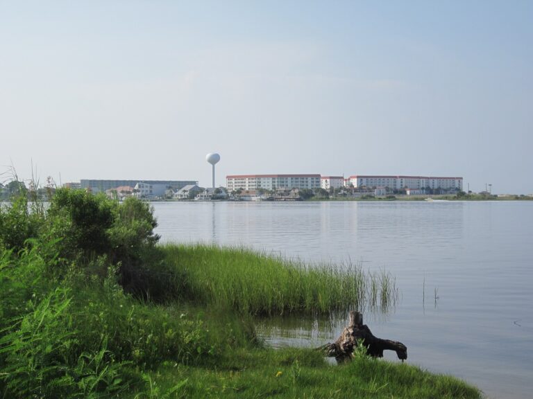 Sound-side waterfront and vegetation at Fort Walton Beach in 2010
