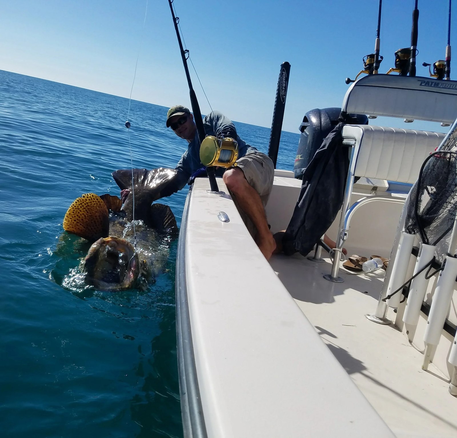 Goliath Grouper Fishing crew handling a grouper beside the boat