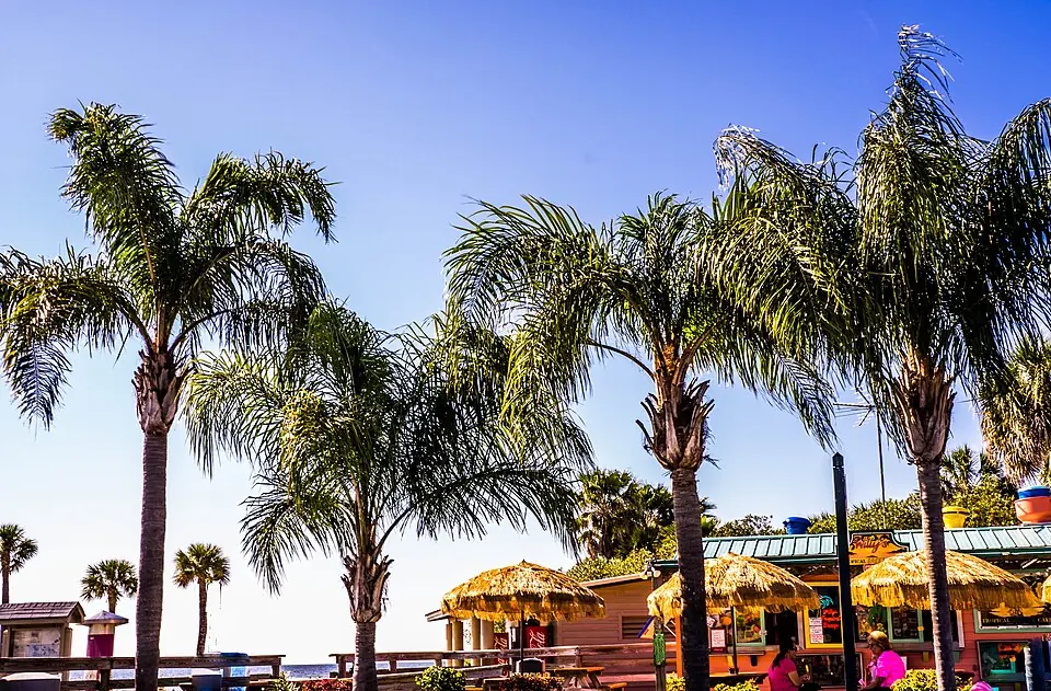 Palm trees and visitor facilities at Pine Island Beach in Hernando County