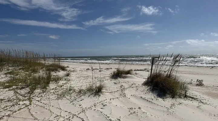 St. George Island State Park Fishing: Surf or Bay?