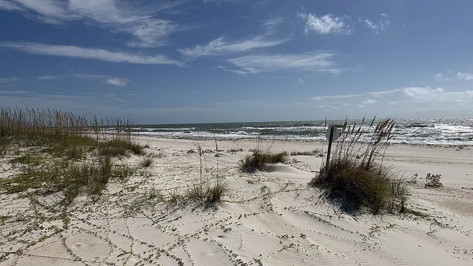 St. George Island State Park Fishing: Surf or Bay?