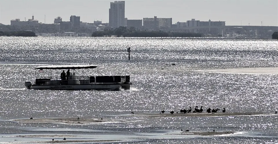 Caladesi Island ferry