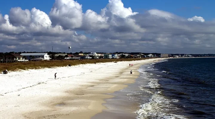 Mexico Beach Fishing: Surf Baits and Pier Updates