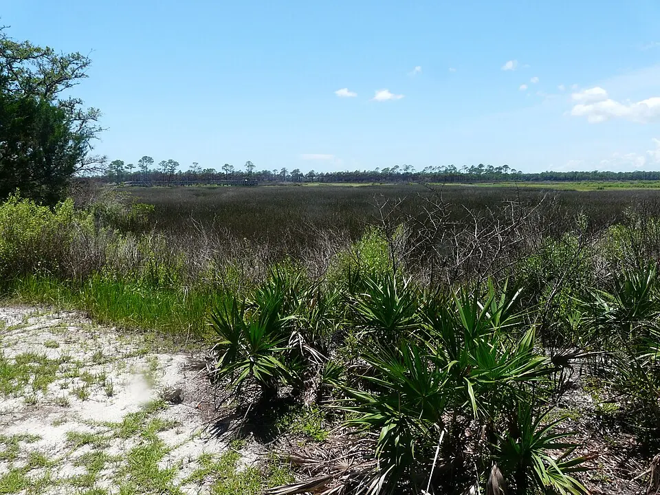 Marsh habitat at Bald Point State Park