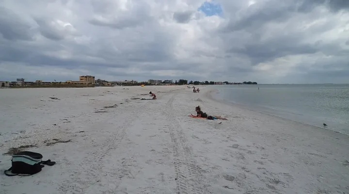 North Redington Beach Fishing: Small Surf Bait Guide