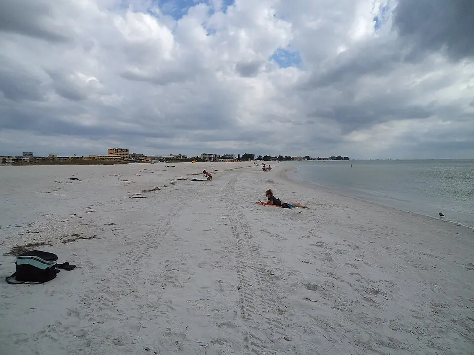 North Redington Beach Fishing: Small Surf Bait Guide