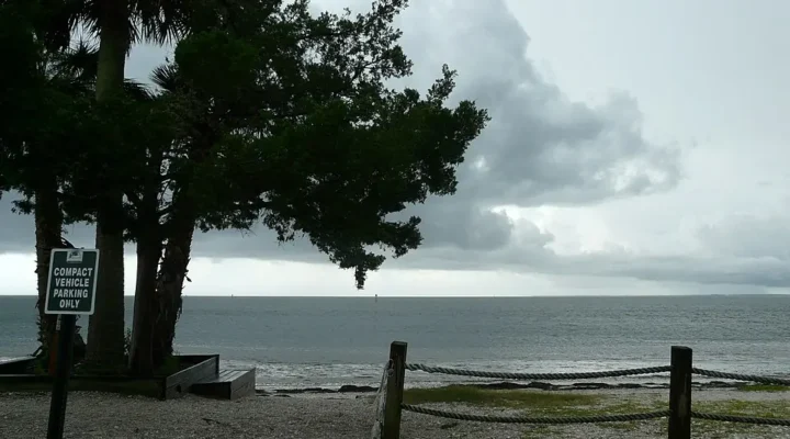 Shell Point Beach Fishing: Light Tackle in Wakulla