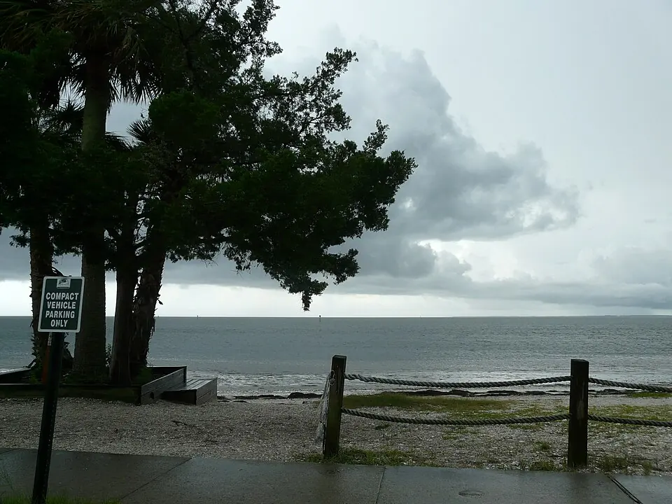 Shell Point Beach Fishing: Light Tackle in Wakulla