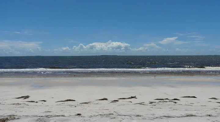 Carrabelle Beach Fishing: A Calm-Water Shore Plan