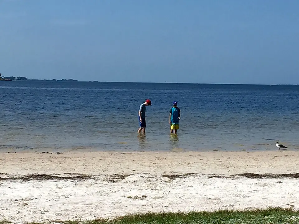 Shoreline at Green Key near New Port Richey
