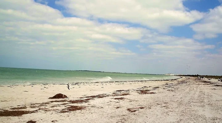 Caladesi Island Fishing: Ferry Planning and Shore Gear
