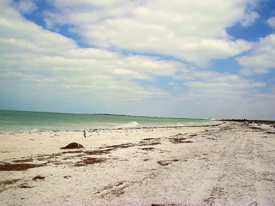 Caladesi Island Fishing: Ferry Planning and Shore Gear