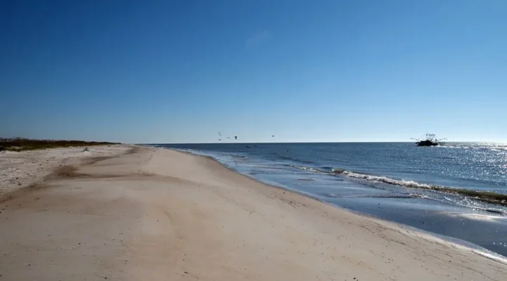 St. George Island Fishing: Beach, Bay and Park Guide