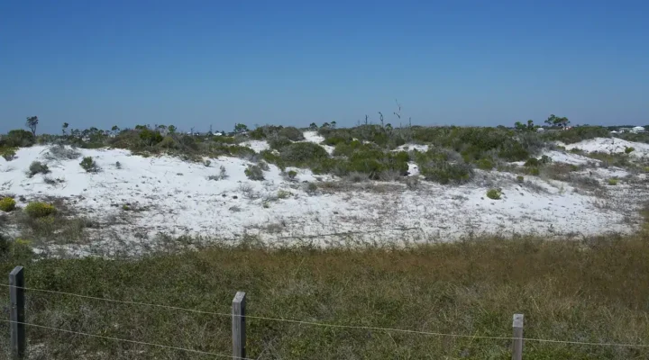 Perdido Key State Park Fishing: A Simple Surf Plan