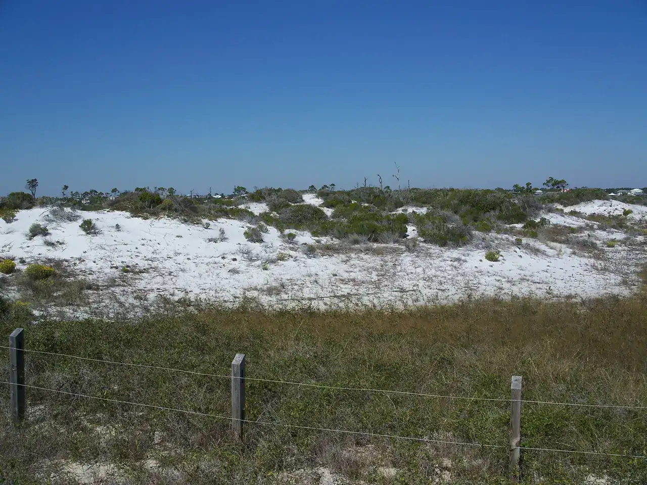 Perdido Key State Park Fishing: A Simple Surf Plan