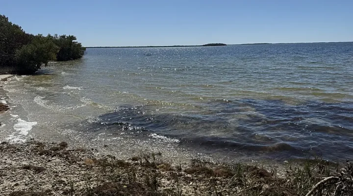 Fort Island Gulf Beach Fishing: Access and Light Gear