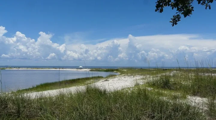 Bald Point State Park Fishing: Oyster Edges and Bait