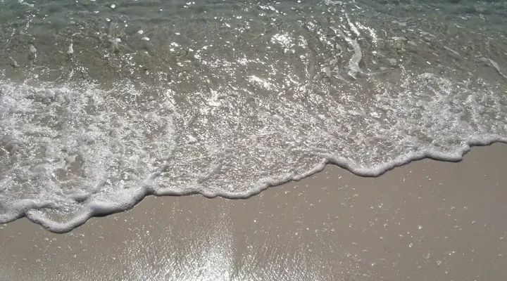 Sandestin Fishing: Gulf Surf and Bay Trips Explained
